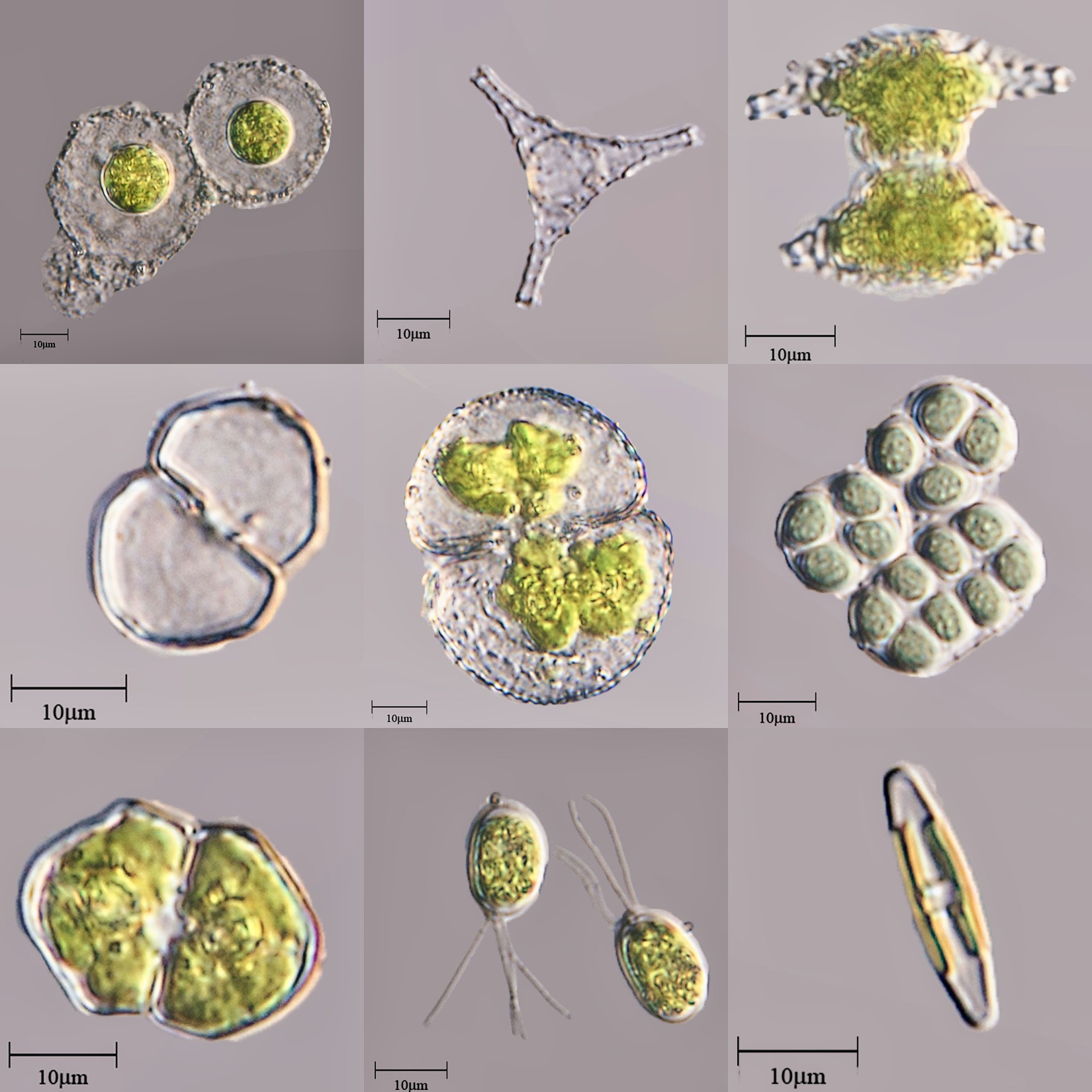 Maintaining peak performance for washers and dryers near Lake Travis