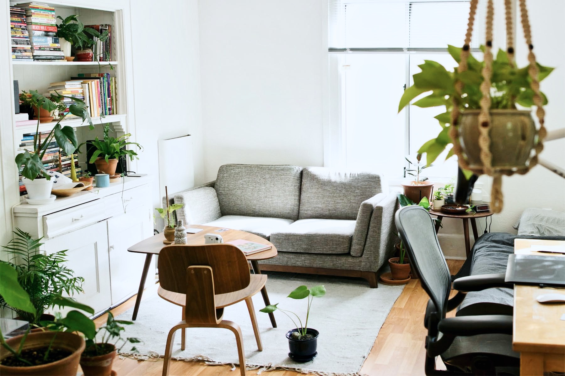 Downtown Cedar Park with versatile appliance repair services for apartments and businesses.