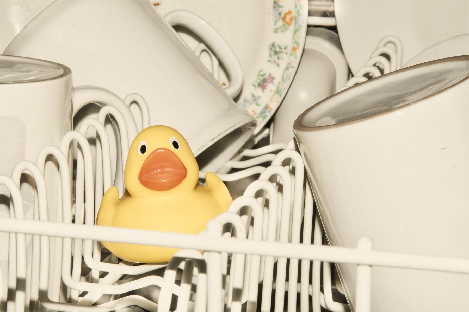 Certified Expert Dishwasher Repair in Austin, TX – Trusted and Highly Rated Service