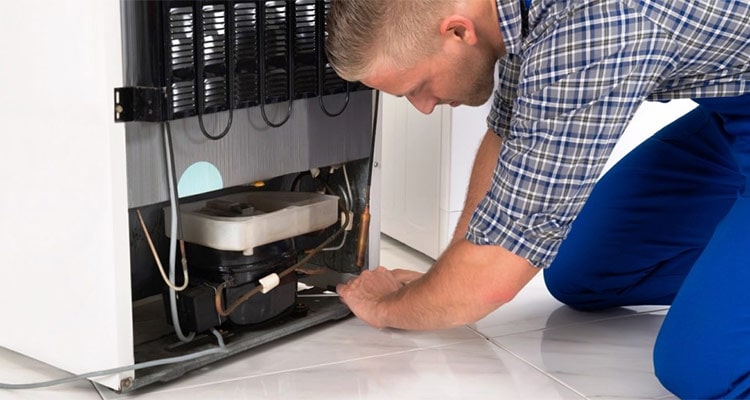 Georgetown technician repairing freezer. Reliable appliance repair service