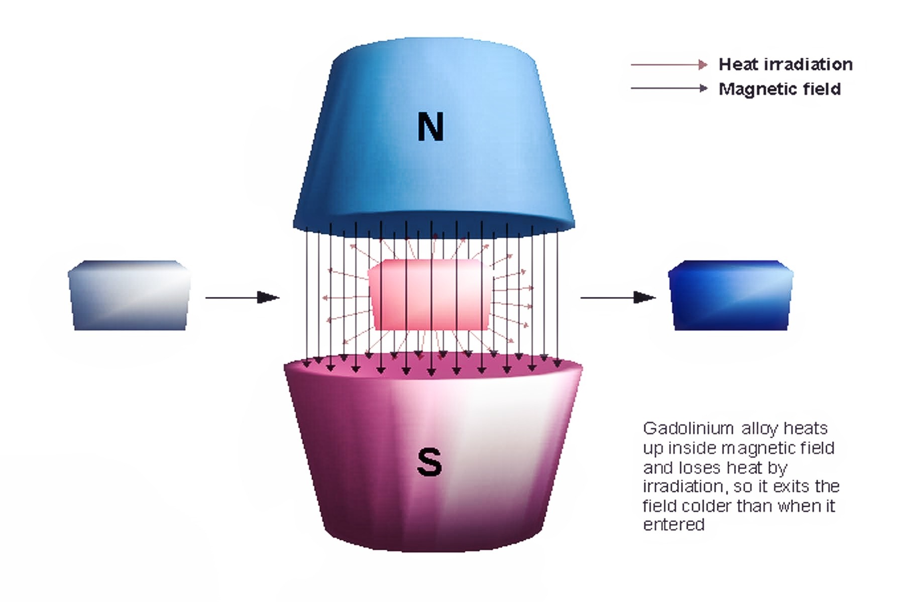 A Sustainable Choice for Your Round Rock Home, with AA Appliance Repair by Your Side